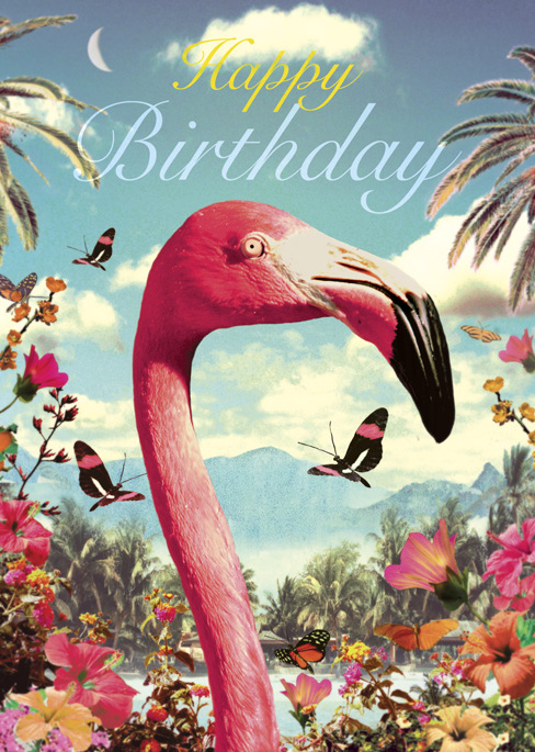 BC215 - Happy Birthday - Flamingo Head Card by Max Hernn